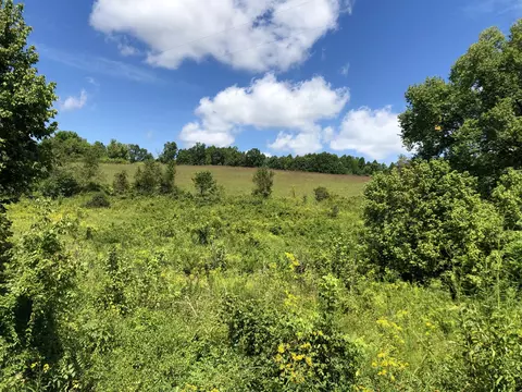284 Castle Road Rd, Eidson, TN 37731 photo 34
