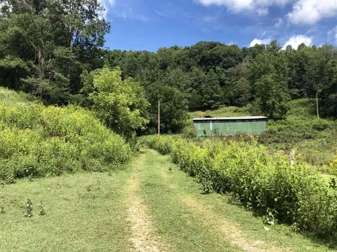 284 Castle Road Rd, Eidson, TN 37731 photo 29