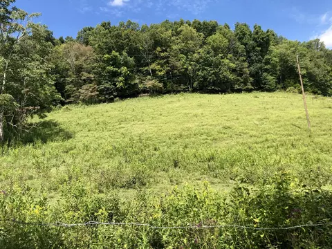 284 Castle Road Rd, Eidson, TN 37731 photo 33