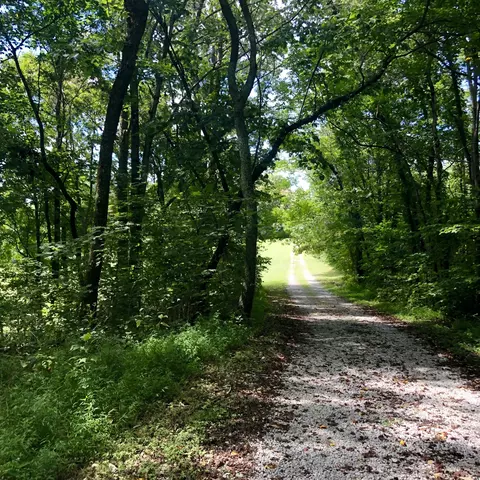 284 Castle Road Rd, Eidson, TN 37731 photo 38