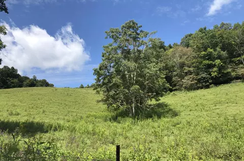 284 Castle Road Rd, Eidson, TN 37731 photo 30