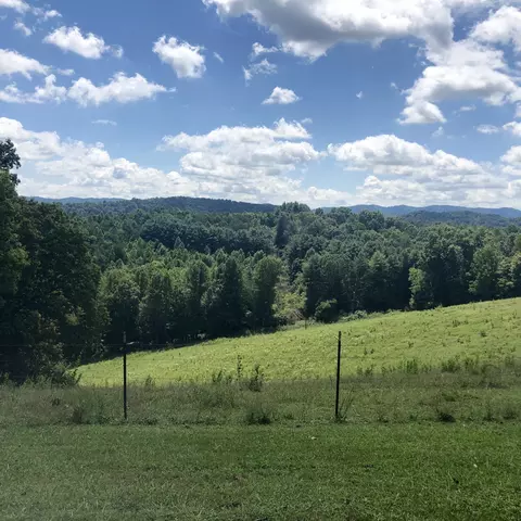 284 Castle Road Rd, Eidson, TN 37731 photo 7