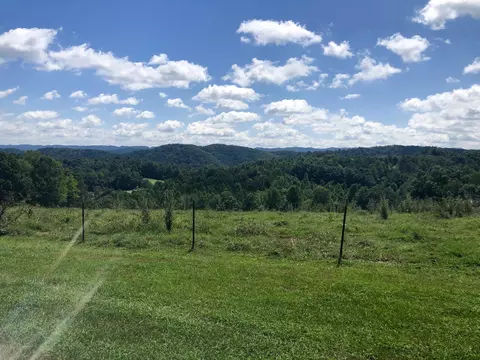 284 Castle Road Rd, Eidson, TN 37731 photo 5