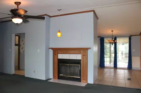 121 Dorothy Dr, Talbott, TN 37877 photo 6
