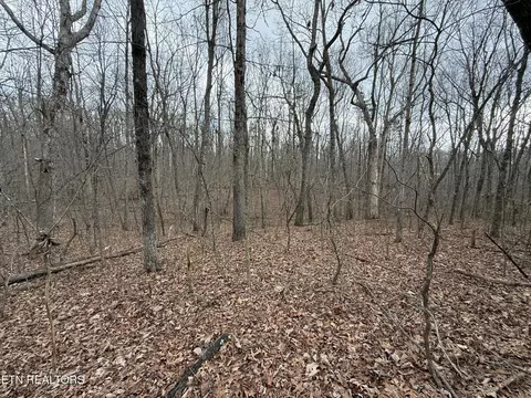 0 Crest Rd, Monterey, TN 38574