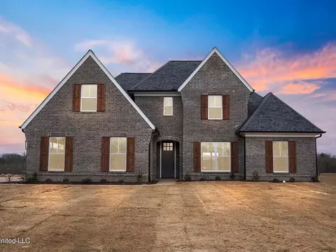 4237 Adriane Cv, Nesbit, MS 38651