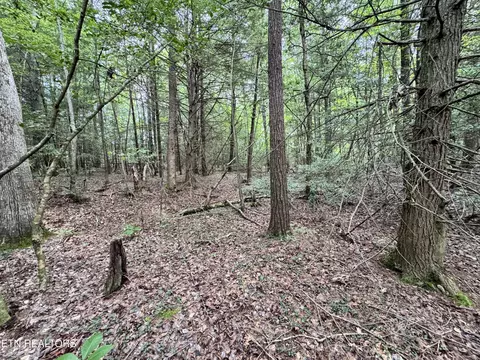 0 Banner Springs Rd, Jamestown, TN 38556
