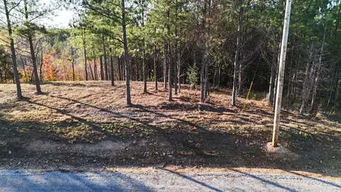 252 Streamside Dr, Linden, TN 37096 photo 7
