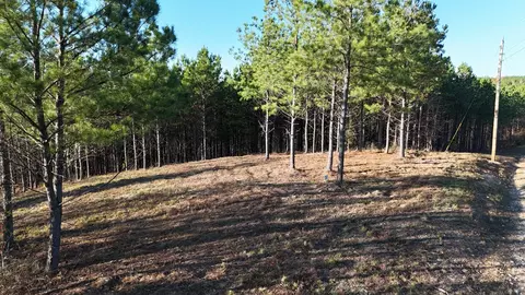 252 Streamside Dr, Linden, TN 37096 photo 2
