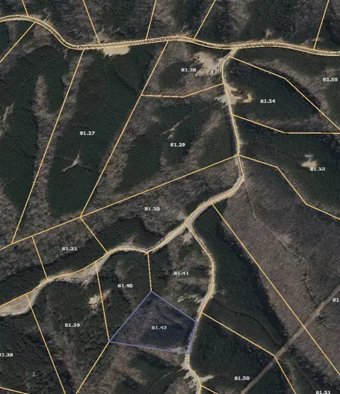 252 Streamside Dr, Linden, TN 37096 photo 10
