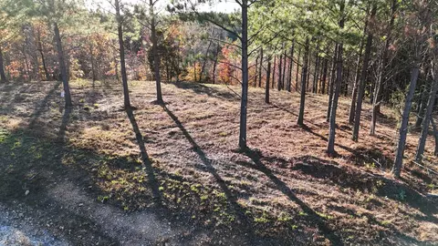 252 Streamside Dr, Linden, TN 37096 photo 3