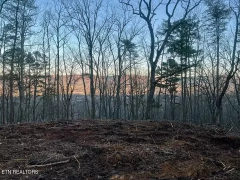 0 Old Spencer Road - 198 Acres, Pikeville, TN 37367