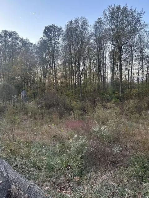 7 Lake Forest Dr, Birchwood, TN 37308