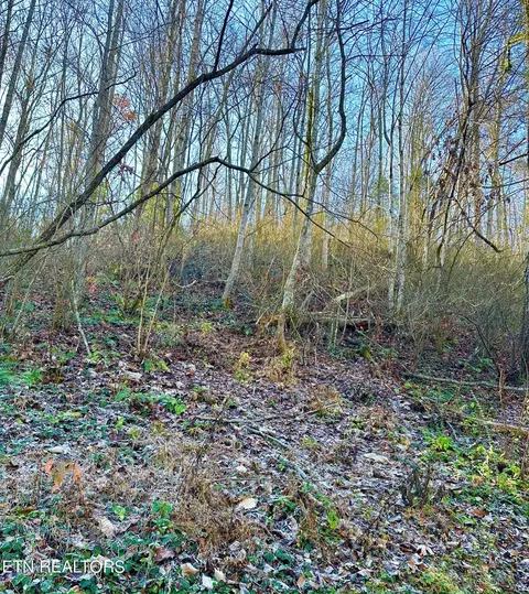 0 Manis Hollow Rd, Gatlinburg, TN 37738