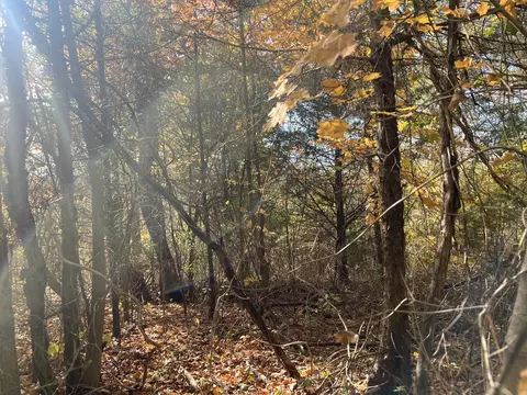 5 Clyde Webb, Tennessee Ridge, TN 37178