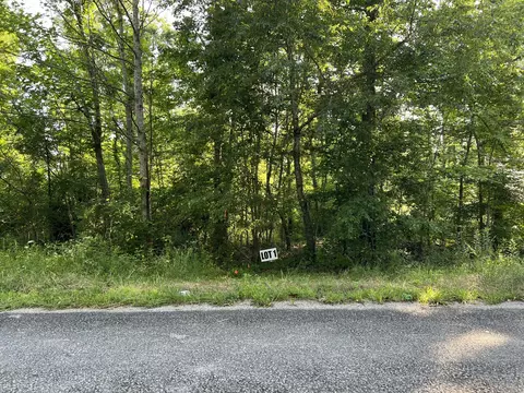 1 Slaughter Rd, Primm Springs, TN 38476