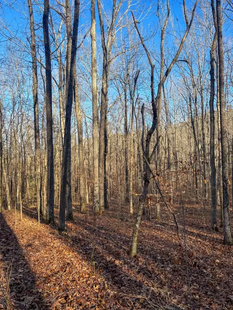 0 Only Rd, Only, TN 37140 photo 6