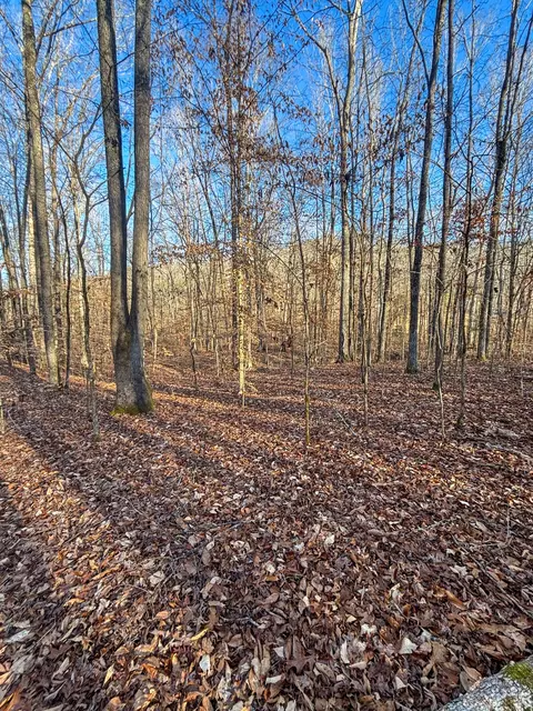 0 Only Rd, Only, TN 37140 photo 5