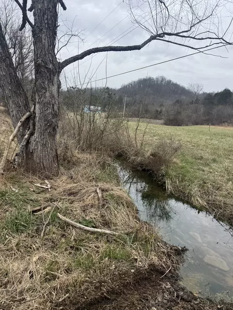 0 Wells Hollow Rd, Petersburg, TN 37144