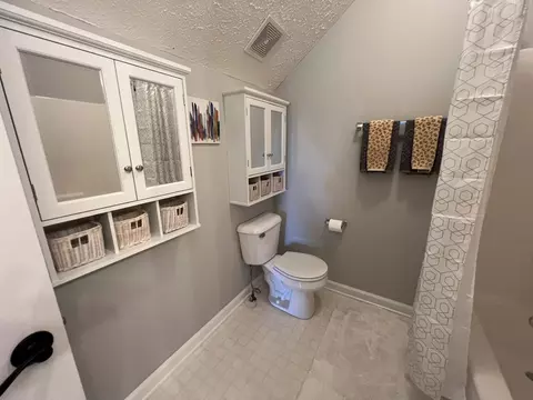 Bath - 5345 Ashburn Rd, Springfield, TN 37172 photo 6 of 7