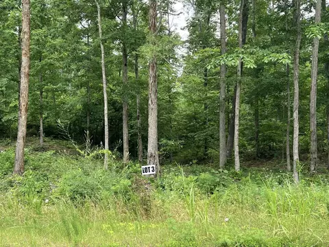 3 Slaughter Rd, Primm Springs, TN 38476