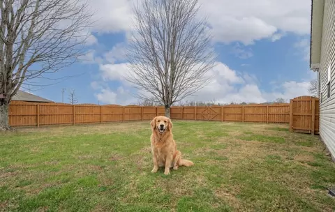 110 Kitty Meyer Ln, Loretto, TN 38469