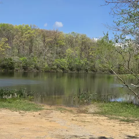 View/Area - 31 Chickory Ln, Monteagle, TN 37356 photo 8 of 8