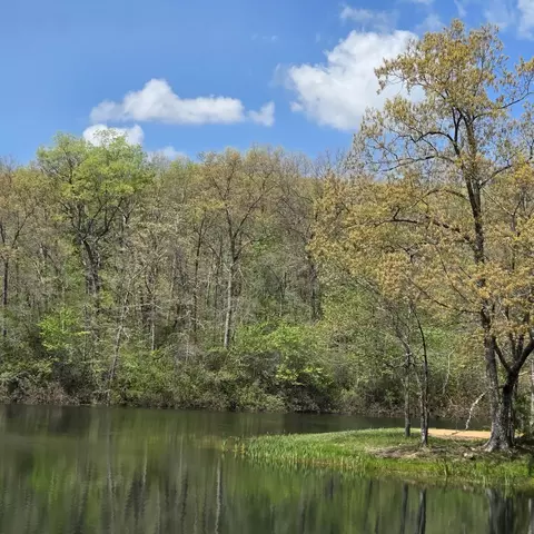 View/Area - 31 Chickory Ln, Monteagle, TN 37356 photo 5 of 8