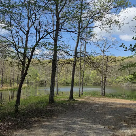 View/Area - 31 Chickory Ln, Monteagle, TN 37356 photo 4 of 8