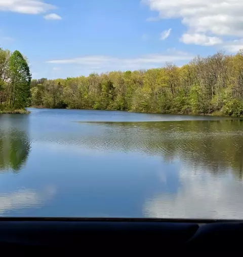 View/Area - 31 Chickory Ln, Monteagle, TN 37356 photo 7 of 8