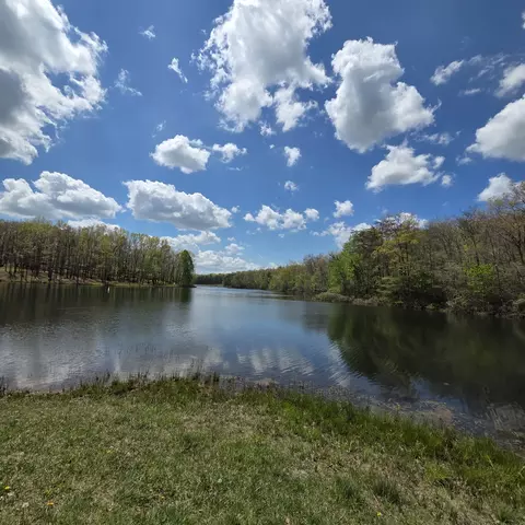 View/Area - 31 Chickory Ln, Monteagle, TN 37356 photo 6 of 8