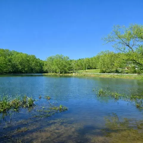 View/Area - 31 Chickory Ln, Monteagle, TN 37356 photo 3 of 8