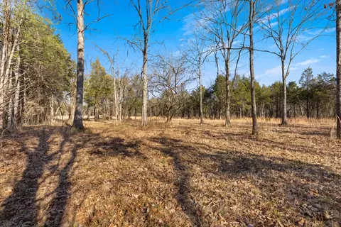 3247 Rucker Rd, Christiana, TN 37037