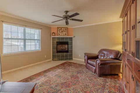 Living - 234 Eagle View Dr, Ringgold, GA 30736 photo 1 of 2