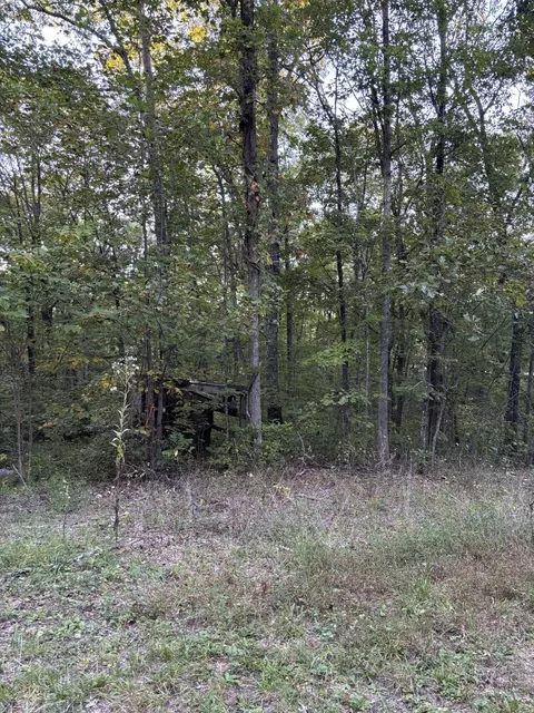 20 Ski View Dr, Dunlap, TN 37327 photo 7