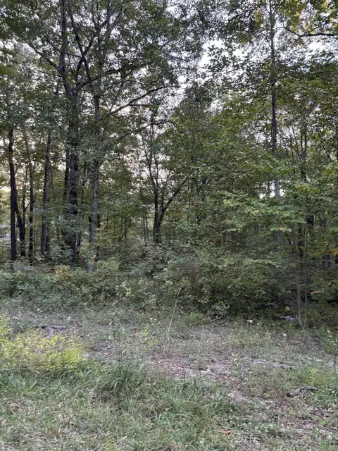 20 Ski View Dr, Dunlap, TN 37327 photo 3