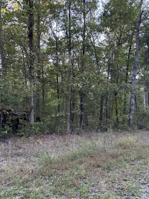 20 Ski View Dr, Dunlap, TN 37327
