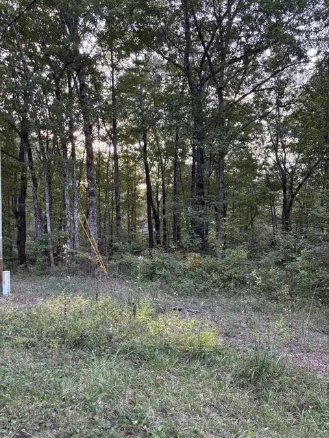 20 Ski View Dr, Dunlap, TN 37327 photo 6