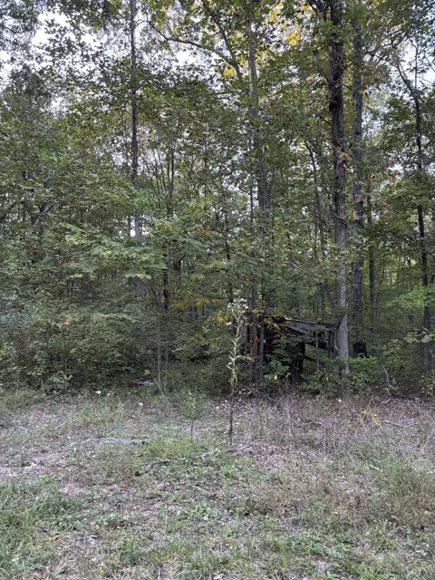 20 Ski View Dr, Dunlap, TN 37327 photo 4