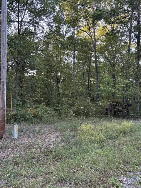 20 Ski View Dr, Dunlap, TN 37327 photo 8