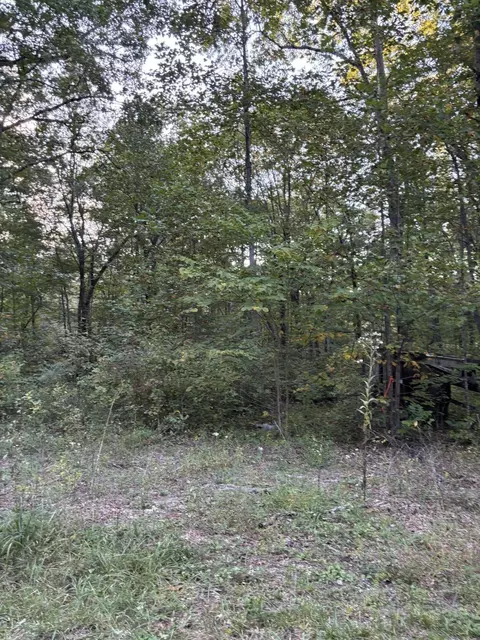 20 Ski View Dr, Dunlap, TN 37327 photo 2