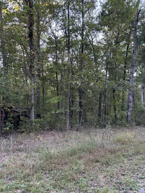 20 Ski View Dr, Dunlap, TN 37327 photo 5