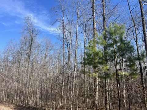 240 War Eagle Dr #LOT 121, Cedar Grove, TN 38321