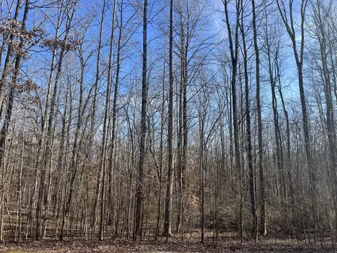 240 War Eagle Dr, Cedar Grove, TN 38321 photo 5