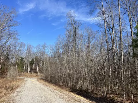 240 War Eagle Dr, Cedar Grove, TN 38321 photo 2