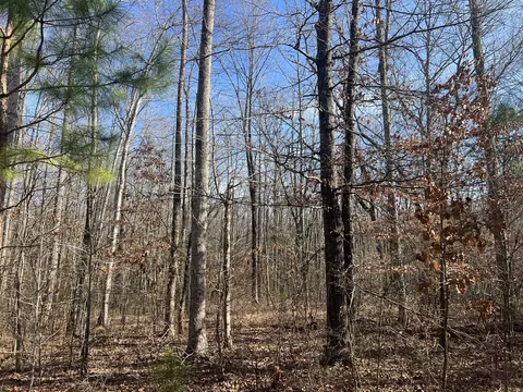240 War Eagle Dr, Cedar Grove, TN 38321 photo 3