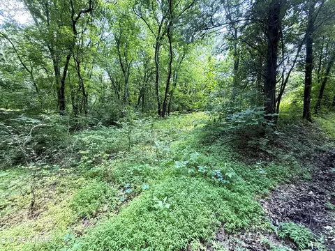 3697 Sane Rd, Parrottsville, TN 37843
