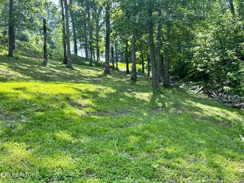 534 Bonnevista Dr, White Pine, TN 37890