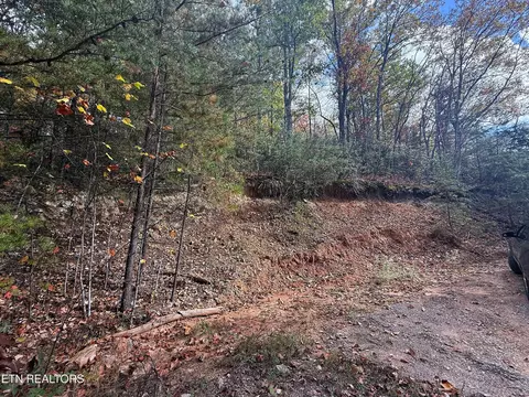 141 Green Forest Rd, Cosby, TN 37722