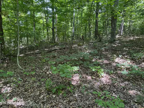 68 Friendship South Rd, Afton, TN 37616